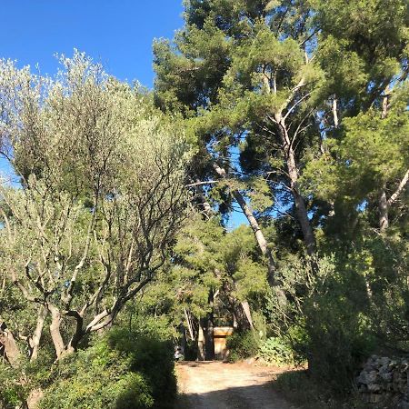 Les Pins Apartment Le Castellet  Ngoại thất bức ảnh