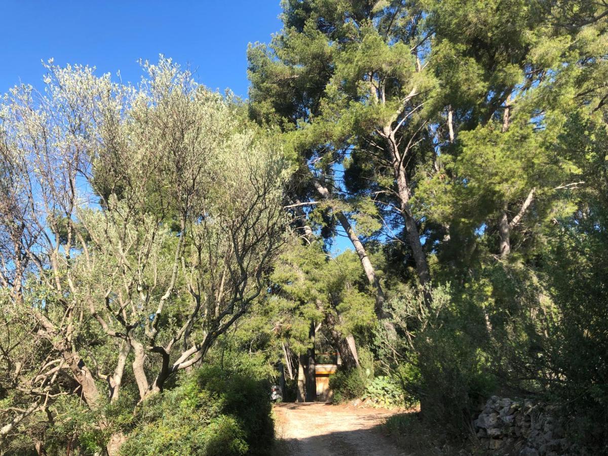 Les Pins Apartment Le Castellet  Ngoại thất bức ảnh